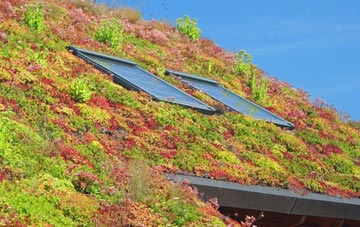 Dallinghoo living roof systems