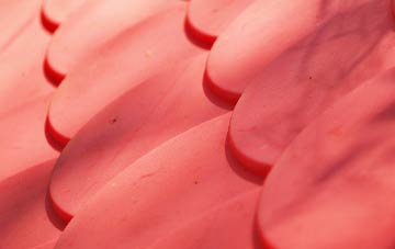 Dallinghoo plastic roof costs