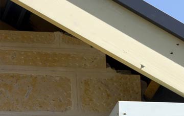 soffit repair Dallinghoo